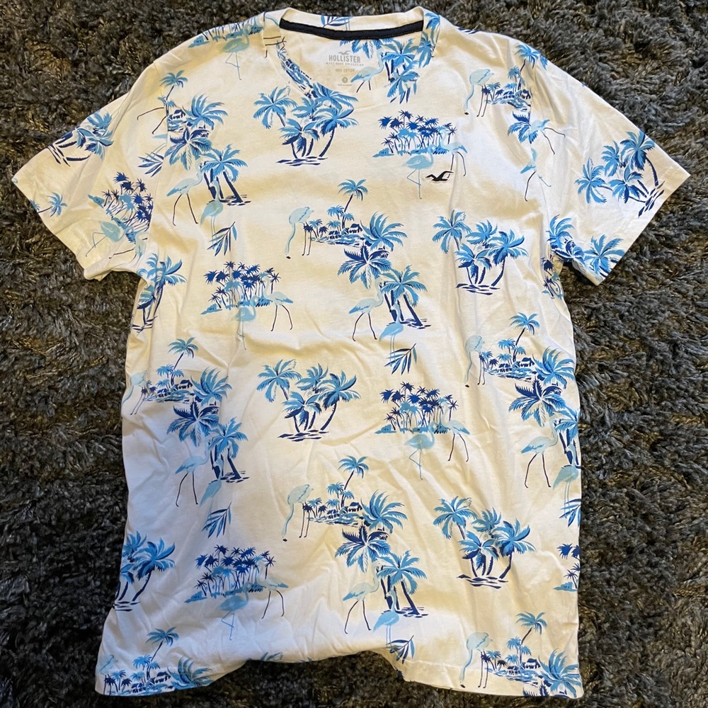 Men’s Hollister T Shirt